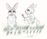 Bunny love